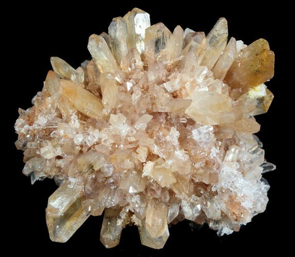 Orange Creedite Crystal Cluster - Durango, Mexico #51653